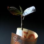 anne-nygard-OtqaCE_SEMI-unsplash(1)