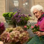 Puutarhanhoito on hyväksi senioreiden terveydelle