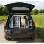 Autossa vapaana oleva koira on turvallisuusriski